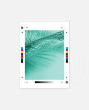 Emerald Palm Glow