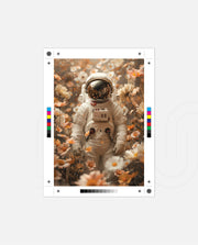 Autumn Orbit