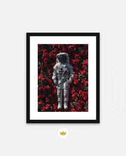 Orbit of Roses