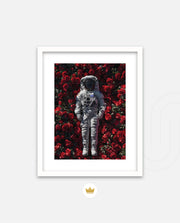 Orbit of Roses