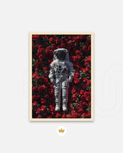 Orbit of Roses