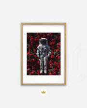 Orbit of Roses
