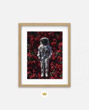 Orbit of Roses
