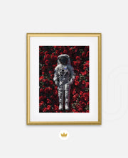 Orbit of Roses