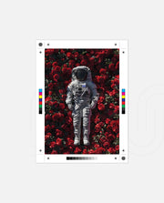Orbit of Roses
