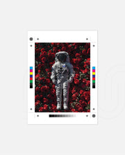 Orbit of Roses