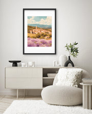 Provence Fields