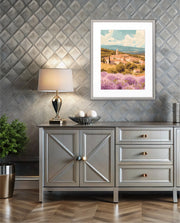 Provence Fields