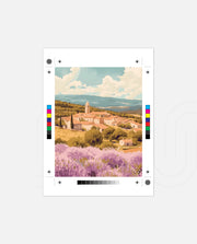 Provence Fields