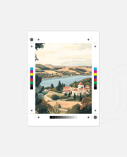 Dunedin Coast