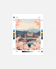Bern Blossom Vista