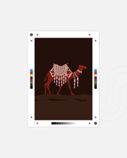 Desert Camel