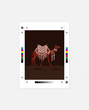 Desert Camel