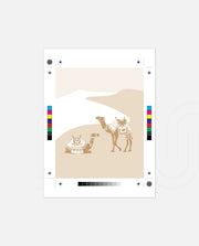 Desert Camels