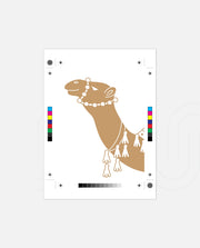 Camel Portrait