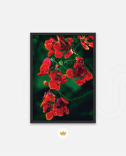 Flame Flower 1