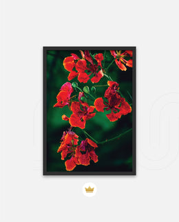 Flame Flower 1
