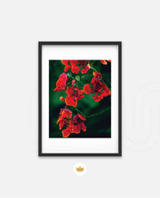 Flame Flower 1