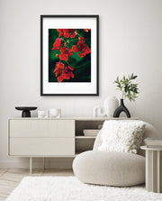 Flame Flower 1