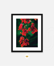 Flame Flower 1