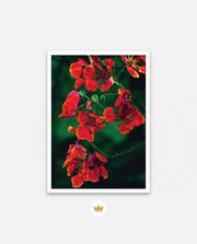 Flame Flower 1