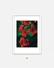 Flame Flower 1