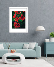 Flame Flower 1