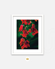 Flame Flower 1
