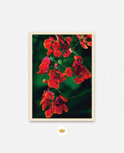 Flame Flower 1
