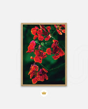 Flame Flower 1