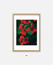 Flame Flower 1