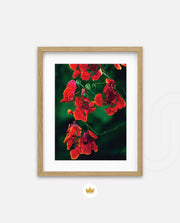 Flame Flower 1