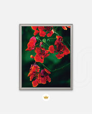 Flame Flower 1