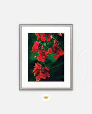 Flame Flower 1