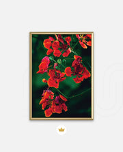 Flame Flower 1