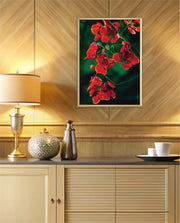 Flame Flower 1