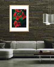 Flame Flower 1