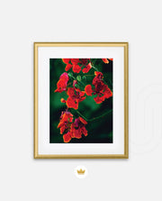 Flame Flower 1