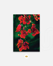 Flame Flower 1