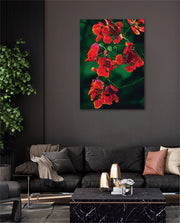 Flame Flower 1