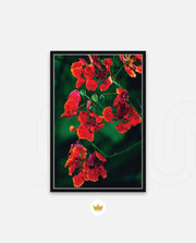 Flame Flower 1