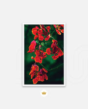 Flame Flower 1