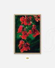 Flame Flower 1
