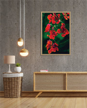 Flame Flower 1
