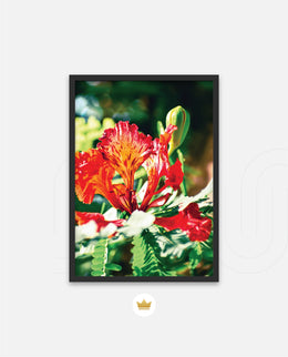 Flame Flower 2