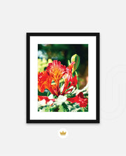 Flame Flower 2