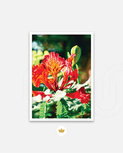 Flame Flower 2
