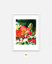 Flame Flower 2