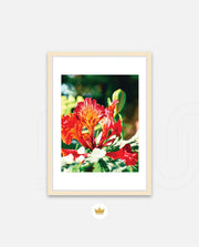 Flame Flower 2