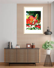 Flame Flower 2